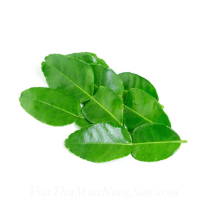 Lá Chanh Thái Xuất Khẩu