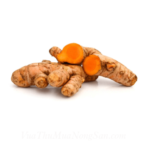 Nghệ Tươi Xuất Khẩu