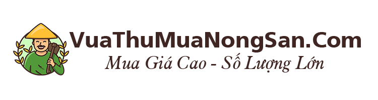 Thu Mua Nông Sản Uy Tín 
